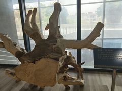 -中国沉香文化博物馆