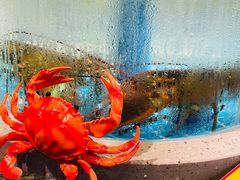 -大哈福烧烤·海鲜·家常菜(延安三路店)
