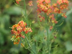 -中国天府农业博览园