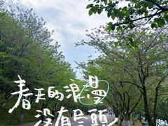 -团城山公园