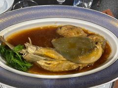 秧草鲍汁巴鱼-酒蜻蜓·庭院私房菜(天元东路店)