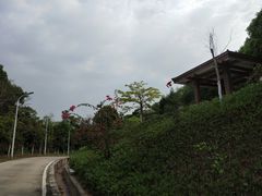 -天鹿湖森林公园