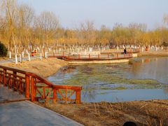 -东郊湿地公园