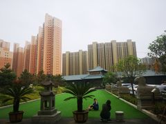 -石羊农庄