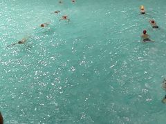 -重庆市奥林匹克体育中心-游泳跳水馆