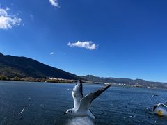 -海埂大坝