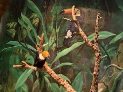 -Zoolung Zoolung动物主题公园(海信广场店)