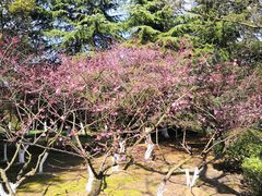 -白塘生态植物园