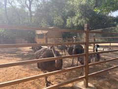 -秦皇岛野生动物园