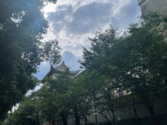 -武汉大学-樱园
