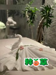 点击看大图 -VELEE·SPA高定疗愈会所
