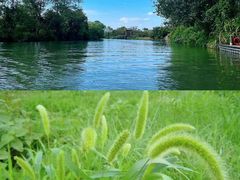 -西溪国家湿地公园