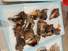 -一口猪海鲜浑锅·东北家常菜