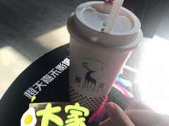 -麓茶
