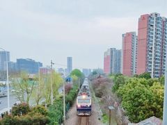 -菊花台公园