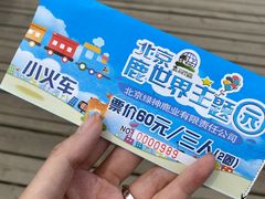 -北京鹿世界主题园