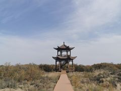 -金塔沙漠胡杨林景区