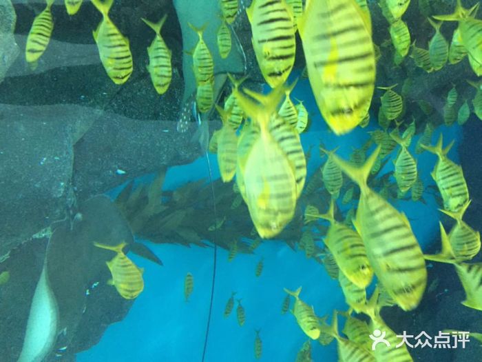 福州罗源湾海洋世界旅游区iphone_upload_pic图片