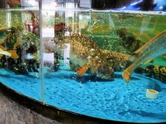 -徐记海鲜(梅溪新天地店)