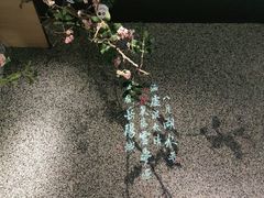 -望湘园·洞庭渔宴(浦江欢乐颂店)