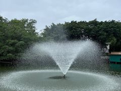 -深圳野生动物园