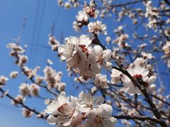 -沈阳辉山风景区