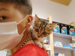 -屋虎猫馆(宝安大仟里店)