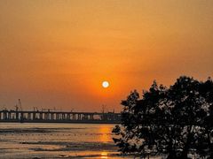 -宝安西湾红树林湿地公园