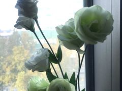 -東更道点心行(文化东路店)