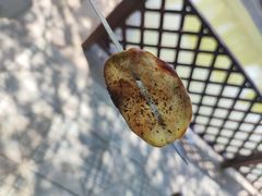 -北京上庄水库尚野露天户外自助烧烤