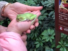 -南宫五洲植物乐园