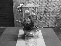 -扫雪煮茶(西村店)