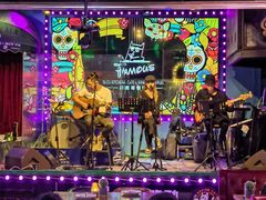 -Famous肥猫墨西哥音乐餐吧(五棵松华熙LIVE店)