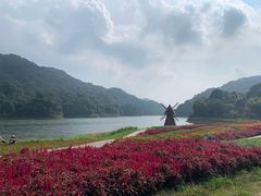 -广州市石门国家森林公园