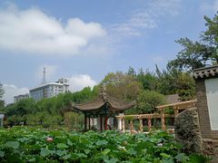 -莲湖公园