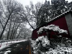 -窦大夫祠