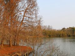 -上海海湾国家森林公园