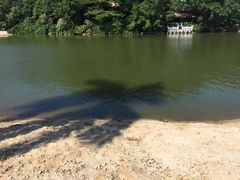 -佛山祈福仙湖酒店