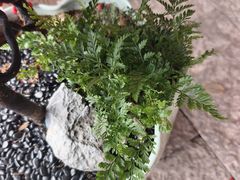 -天台山赤城山景区