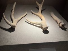 -南越王博物院(王宫展区)