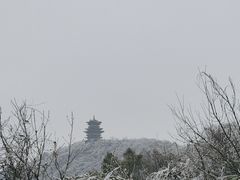 -杭州半山国家森林公园