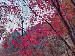 -大连天门山国家森林公园