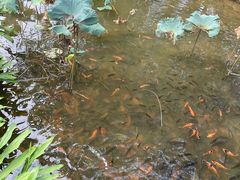 -海珠儿童公园