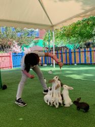 -萌宠亲子动物乐园(槐房万达店)