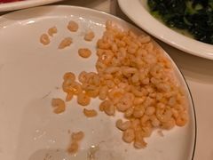 清炒虾仁-得月楼·省级非遗·传统苏帮菜(观前店)