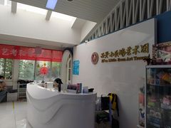 -西安小天鹅艺术团(曲江Alice店)