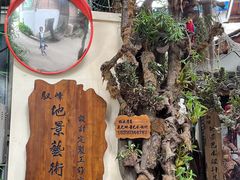 -三圣花乡旅游区