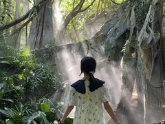 -青青世界