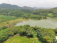 -清溪大王山森林公园