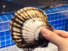 扇贝-乔哥铭洋海鲜自助(皇城恒隆广场店)